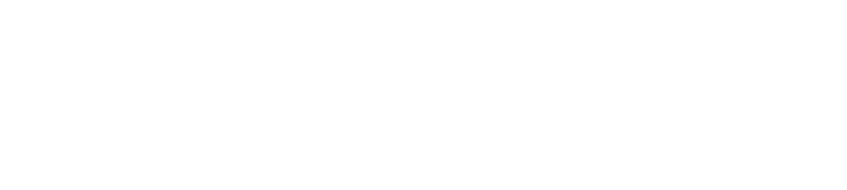 Financial Integrity_Logo_Horizontal-White